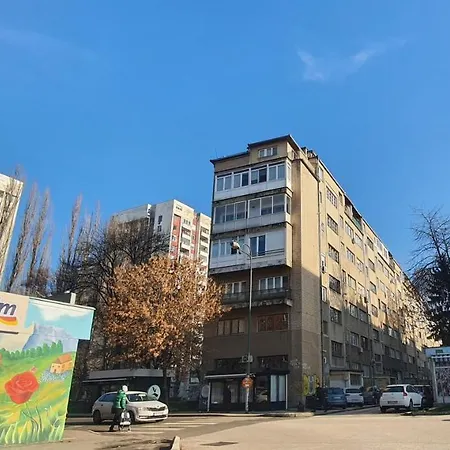 Apartment Divna *